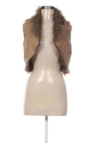 Damenweste Clockhouse, Größe S, Farbe Braun, Preis 20,00 €