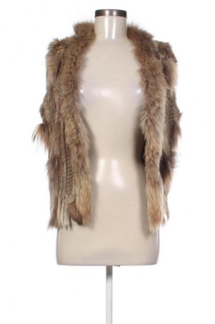 Dámska vesta  Hollies Stockholm, Veľkosť S, Farba Viacfarebná, Cena  38,36 €