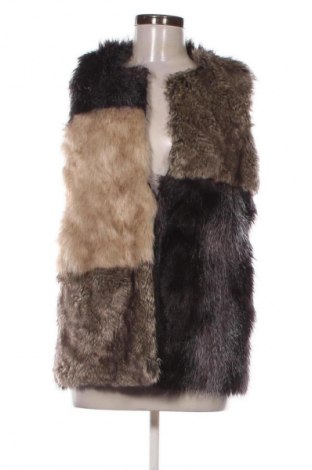 Γυναικείο γιλέκο Unbranded, Μέγεθος S, Χρώμα Πολύχρωμο, Τιμή 11,99 €