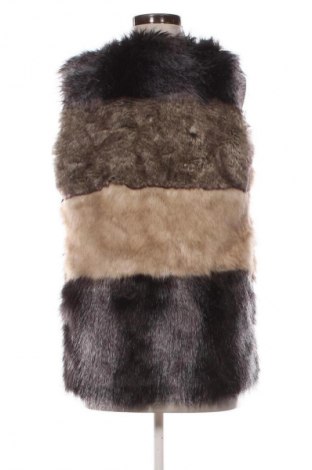 Γυναικείο γιλέκο Unbranded, Μέγεθος S, Χρώμα Πολύχρωμο, Τιμή 11,99 €