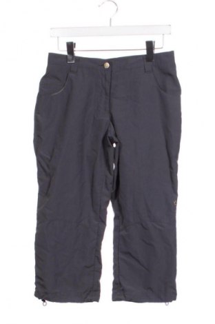 Damen Shorts Jack Wolfskin, Größe L, Farbe Grau, Preis 16,99 €