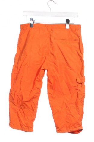 Damen Shorts Mammut, Größe XL, Farbe Orange, Preis 20,99 €