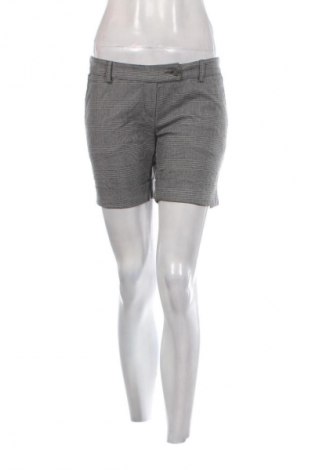 Dámske kraťasy  Xetra, Veľkosť M, Farba Viacfarebná, Cena  4,95 €