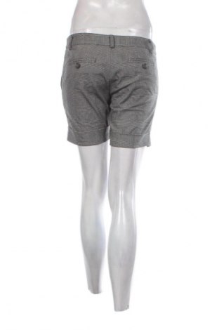 Dámske kraťasy  Xetra, Veľkosť M, Farba Viacfarebná, Cena  4,95 €