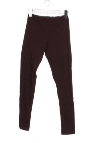 Damen Leggings Me & Me, Größe L, Farbe Braun, Preis € 6,99