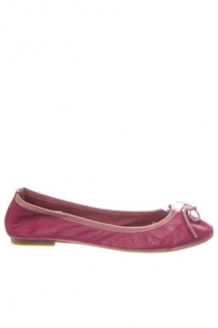 Damenschuhe Aldo, Größe 37, Farbe Rosa, Preis € 54,74