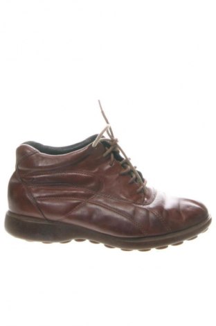 Obuwie damskie Clarks, Rozmiar 38, Kolor Brązowy, Cena 452,00 zł