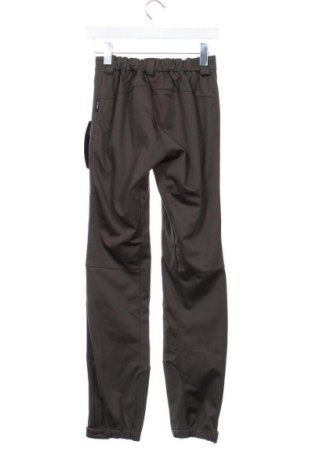 Damskie spodnie DLX, Rozmiar XS, Kolor Zielony, Cena 339,72 zł