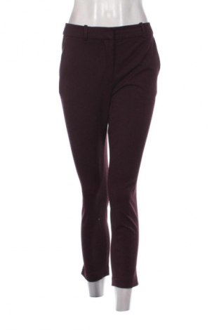 Damenhose H&M, Größe S, Farbe Rot, Preis € 25,00