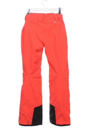 Damenhose für Wintersport Salomon, Größe XXS, Farbe Orange, Preis € 64,99