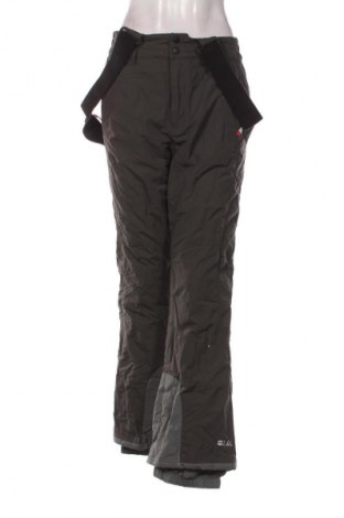 Spodnie damskie do uprawiania sportów zimowych Unbranded, Rozmiar M, Kolor Szary, Cena 75,99 zł