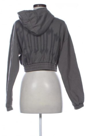 Damen Sweatshirt Hoodlamb, Größe S, Farbe Grau, Preis 71,99 €