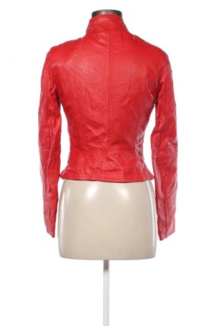 Dámská kožená bunda  Bayside, Velikost M, Barva Červená, Cena  1 139,00 Kč