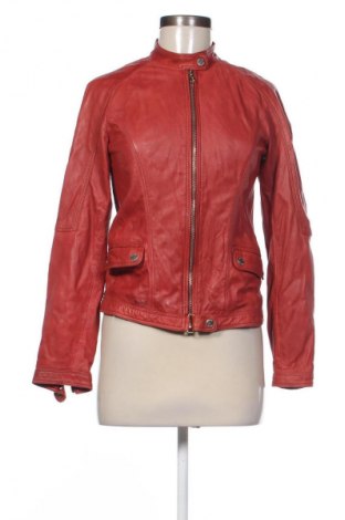 Damen Lederjacke Massimo Dutti, Größe S, Farbe Rot, Preis 80,18 €