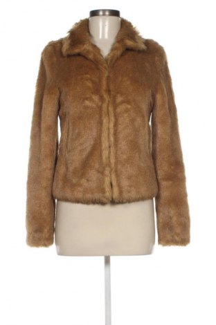 Damenmantel H&M, Größe S, Farbe Braun, Preis € 45,08