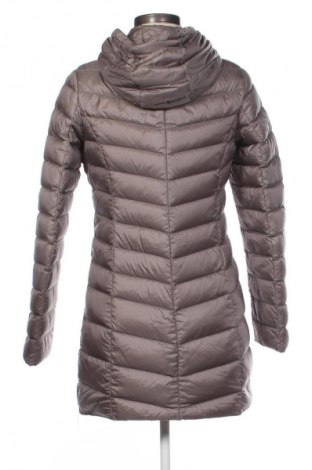 Damenjacke Bexleys, Größe S, Farbe Grau, Preis 34,72 €