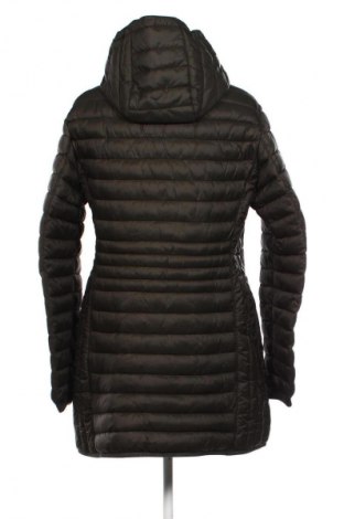 Damenjacke Camel Active, Größe L, Farbe Grün, Preis € 179,99