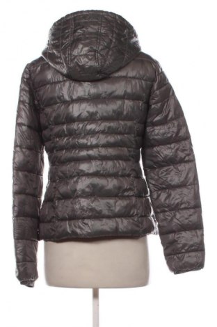 Damenjacke Chicoree, Größe M, Farbe Grau, Preis € 20,99