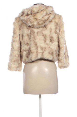 Дамско яке Motivi, Размер XS, Цвят Многоцветен, Цена 34,76 €