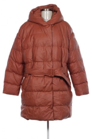 Damenjacke Rainbow, Größe XL, Farbe Braun, Preis € 25,99