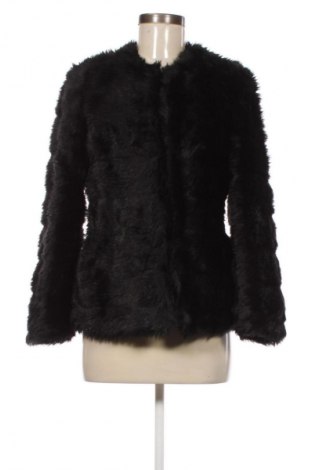 Damenjacke Terranova, Größe XS, Farbe Schwarz, Preis € 13,99