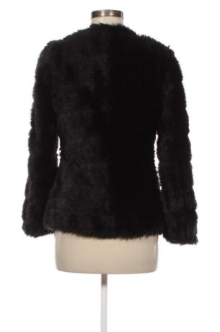 Damenjacke Terranova, Größe XS, Farbe Schwarz, Preis € 13,99