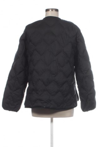 Damenjacke Uniqlo, Größe M, Farbe Schwarz, Preis 26,99 €
