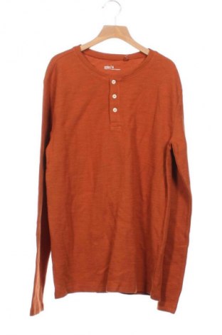 Dziecięca bluzka Anko, Rozmiar 15-18y/ 170-176 cm, Kolor Brązowy, Cena 28,99 zł