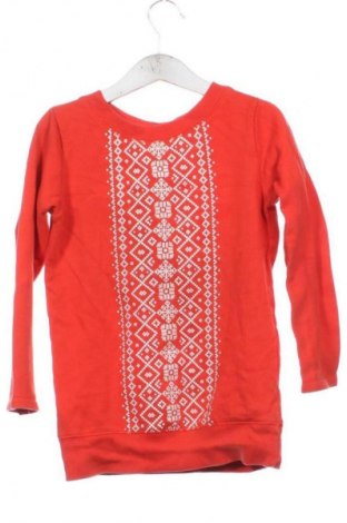 Kinder Shirt Carter's, Größe 5-6y/ 116-122 cm, Farbe Mehrfarbig, Preis € 6,00