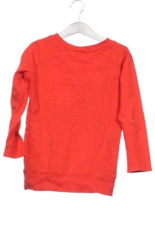 Kinder Shirt Carter's, Größe 5-6y/ 116-122 cm, Farbe Mehrfarbig, Preis € 6,00