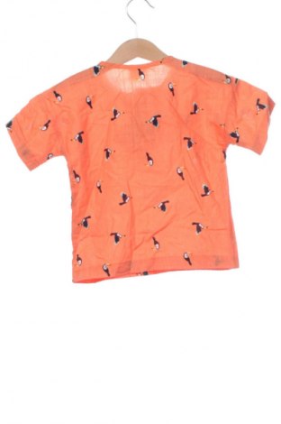 Παιδική μπλούζα Defacto, Μέγεθος 18-24m/ 86-98 εκ., Χρώμα Πολύχρωμο, Τιμή 4,99 €