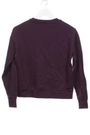 Detská blúzka  Oviesse, Veľkosť 13-14y/ 164-168 cm, Farba Fialová, Cena  4,95 €