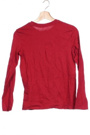 Bluză pentru copii Pepperts!, Mărime 10-11y/ 146-152 cm, Culoare Multicolor, Preț 38,99 Lei