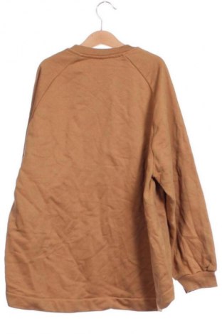 Детска блуза Piazza Italia, Размер 13-14y/ 164-168 см, Цвят Кафяв, Цена 3,57 €