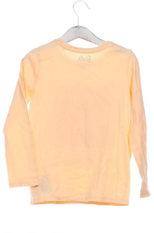 Детска блуза Sinsay, Размер 5-6y/ 116-122 см, Цвят Многоцветен, Цена 5,60 €