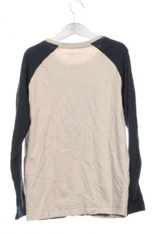 Dětská halenka  TCM, Velikost 10-11y/ 146-152 cm, Barva Vícebarevné, Cena  109,00 Kč