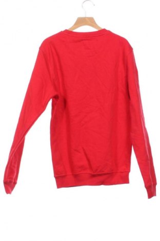 Dětská halenka  Unbranded, Velikost 13-14y/ 164-168 cm, Barva Červená, Cena  119,00 Kč