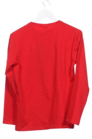 Dětská halenka  Unbranded, Velikost 13-14y/ 164-168 cm, Barva Vícebarevné, Cena  255,00 Kč