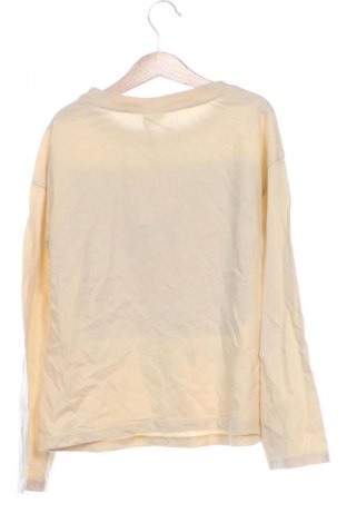 Παιδική μπλούζα Zara, Μέγεθος 11-12y/ 152-158 εκ., Χρώμα Πολύχρωμο, Τιμή 7,00 €