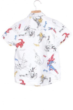 Kinderhemd DC Comics, Größe 5-6y/ 116-122 cm, Farbe Mehrfarbig, Preis 6,00 €