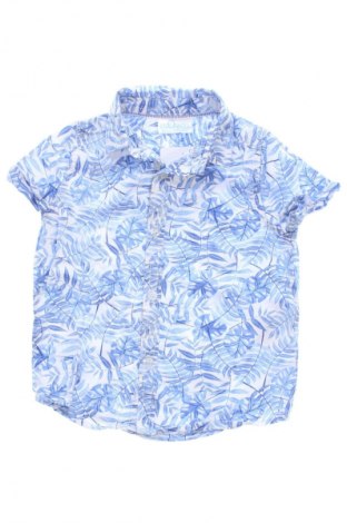 Dziecięca koszula Pepco, Rozmiar 9-12m/ 74-80 cm, Kolor Kolorowy, Cena 30,00 zł