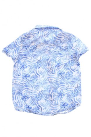 Dziecięca koszula Pepco, Rozmiar 9-12m/ 74-80 cm, Kolor Kolorowy, Cena 30,00 zł