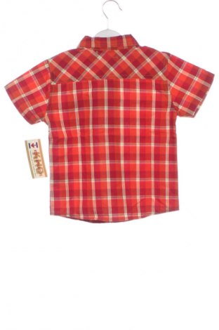 Dziecięca koszula Ross, Rozmiar 2-3m/ 56-62 cm, Kolor Kolorowy, Cena 48,23 zł