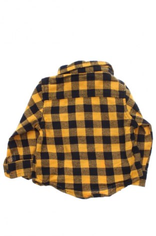 Dziecięca koszula Sinsay, Rozmiar 6-9m/ 68-74 cm, Kolor Kolorowy, Cena 30,00 zł