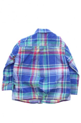 Dziecięca koszula Ted Baker, Rozmiar 12-18m/ 80-86 cm, Kolor Kolorowy, Cena 123,30 zł