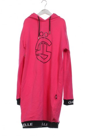 Παιδικό φόρεμα Gaelle Paris, Μέγεθος 15-18y/ 170-176 εκ., Χρώμα Ρόζ , Τιμή 14,99 €