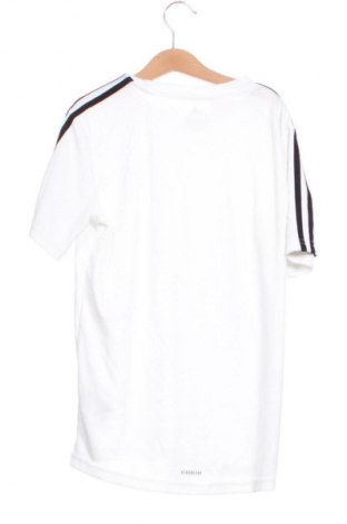 Dziecięcy T-shirt Adidas, Rozmiar 10-11y/ 146-152 cm, Kolor Kolorowy, Cena 48,99 zł
