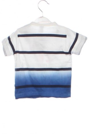 Dziecięcy T-shirt Babyface, Rozmiar 9-12m/ 74-80 cm, Kolor Kolorowy, Cena 128,60 zł