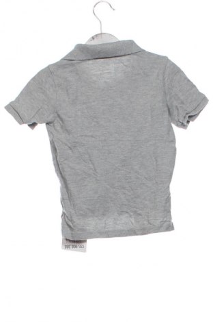 Tricou pentru copii Gap, Mărime 3-4y/ 104-110 cm, Culoare Gri, Preț 31,99 Lei