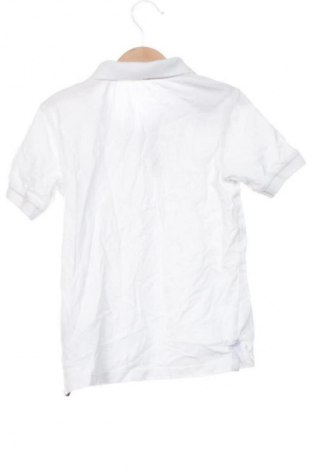 Kinder T-Shirt U.S. Polo Assn., Größe 8-9y/ 134-140 cm, Farbe Weiß, Preis 12,99 €